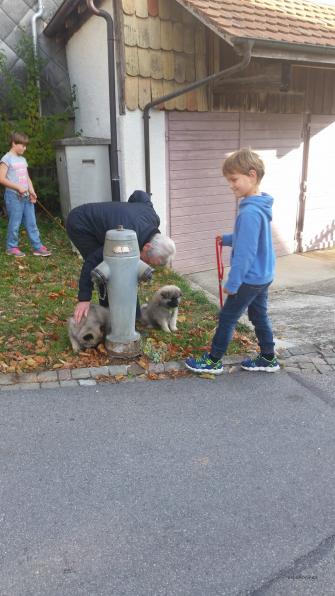 und der Hydrant ist bereits sehr interessant für die "Buben"