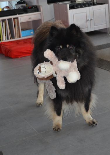 Yeno im Spielmodus....