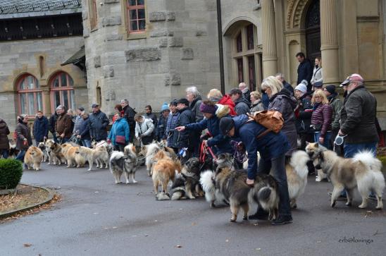 Alles Eurasier.... von der einen Seite