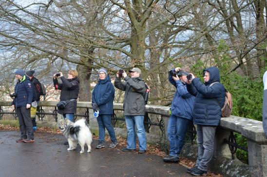 so viele Paparazzi's.... da wird es ja auch tolle Fotos geben im nächsten EM