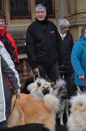 Simba, Anila und hinten Zenzi