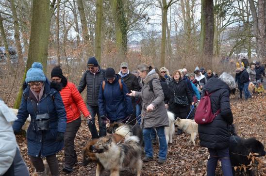 weiter gehts durch den Wald...