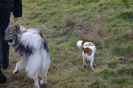 Anila und klein Aysha
