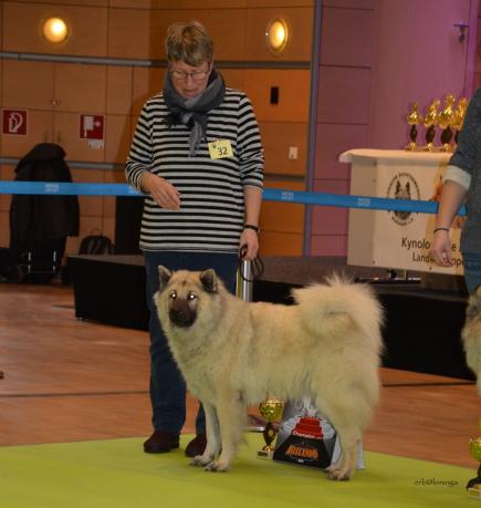 und Simba kommt auf den 1. Platz