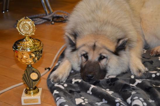 Simba mit ihrem Pokal.....ist ihr im Moment aber so etwas von egal.....-