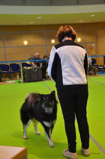 Ruth und Ici