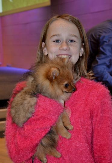 Mini Eurasier???