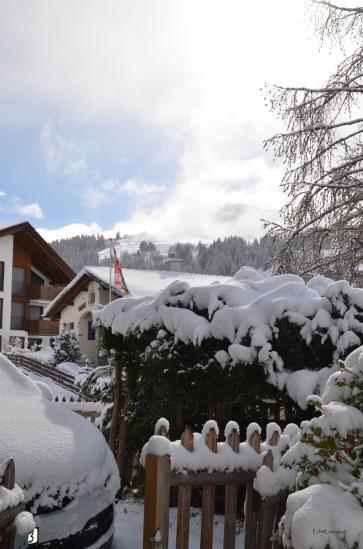 ....Schnee über Nacht