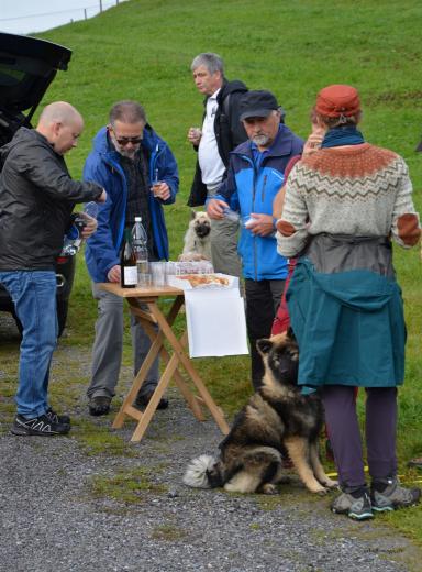 Käsekuchen, Appenzeller-Biberli und Weisswein...