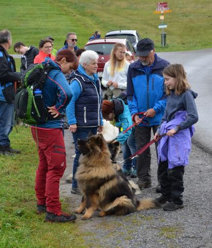 Wolfböhler Züchter und Besitzer