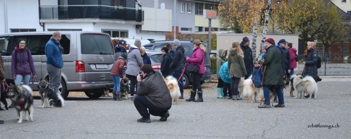 Ankunft der Eurasier