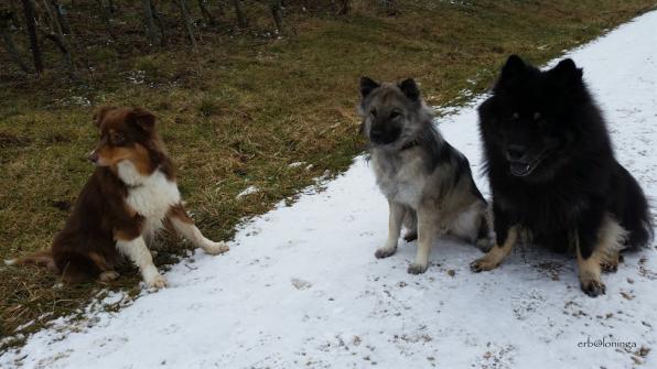 Yeno , Coira und Anila