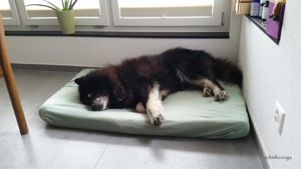 Ich schlafe viel und fest...