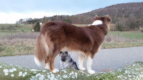 Coira und Anila