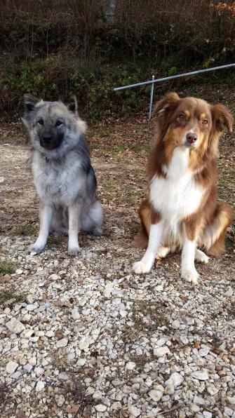 Anila und Coira