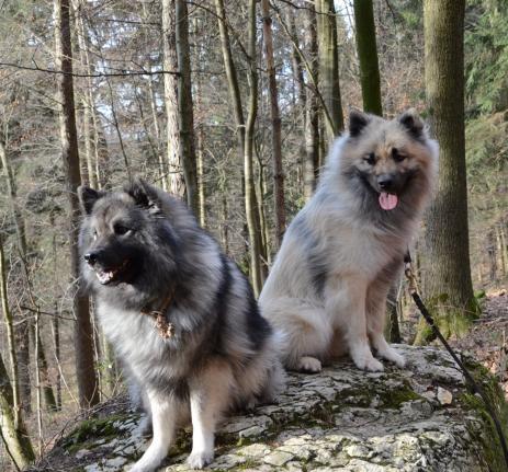 Bode mit Mama