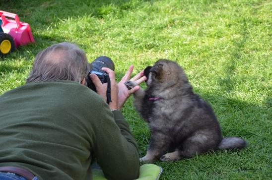 Fotografieren - gar nicht so einfach...