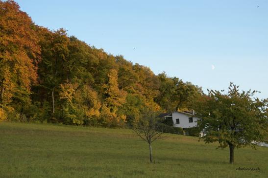 bei bestem Herbstwetter