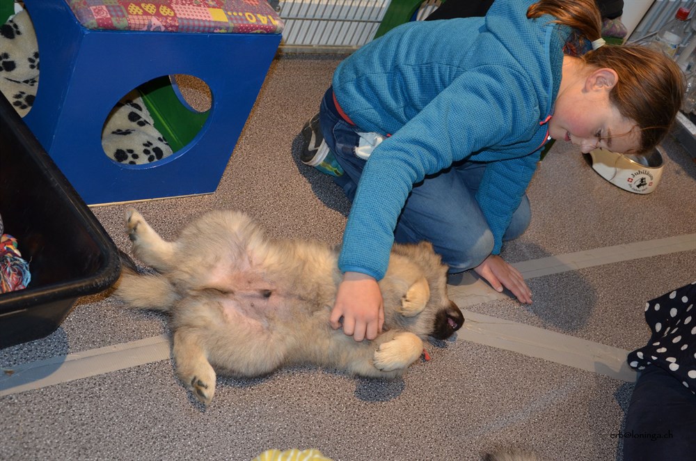 die Spazierkinder zum letzten Mal am Kuscheln mit den "C"s