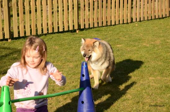 Im Garten zuhause absolviert Leonie noch einige Sprünge mit Chuckie