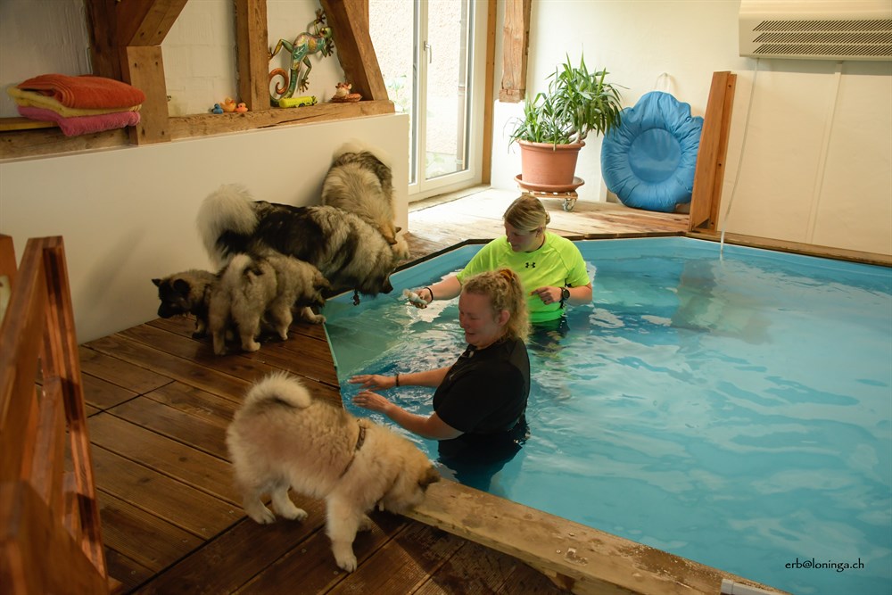 In Basadingen bei Cane forte durften wir ins Welpenschwimmen