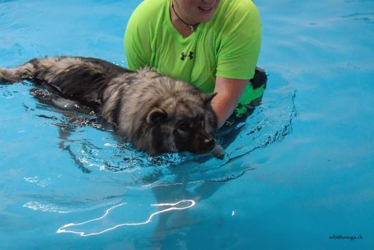 Mama ist ungewollt reingeplumbst, und musste auch schwimmen