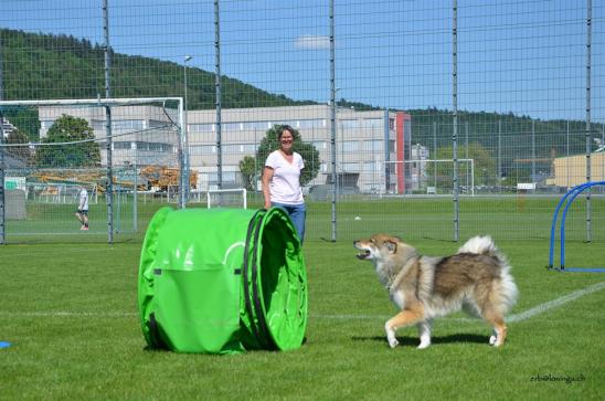 und weiter durchs Tunnel