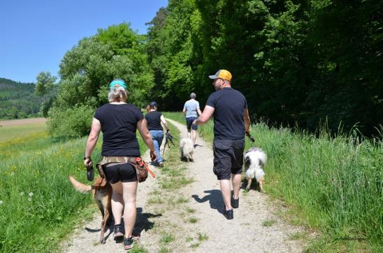 Auf gehts ins Wasser an die Wutach mit Nachbars