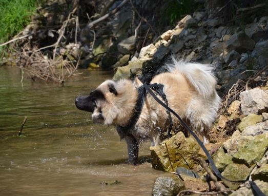 Daria ist mutig und steht schon im Wasser