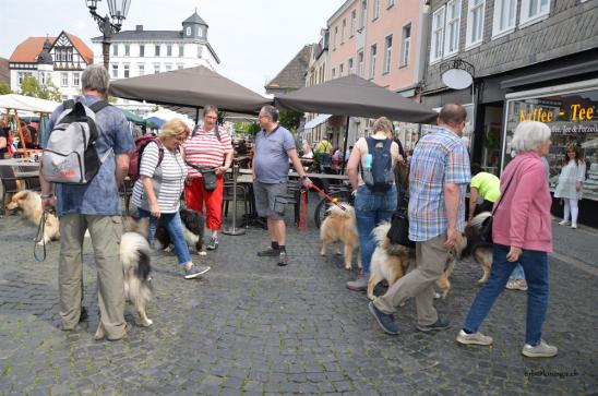 Stadtführung in Lippstadt