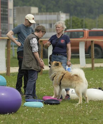 Daiko heute