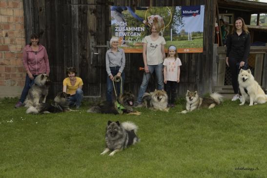 Loningas Nachkommen von Links : Daik , Dari, Chinook, Charly, Chuckie, Banjie (alle von Loninga) vorne Mama Anila