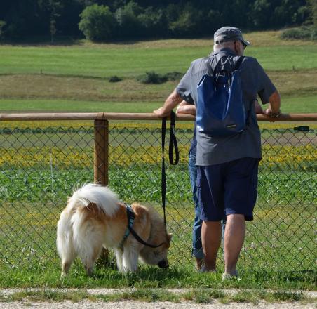 Zaungäste - auch mit Eurasier.....