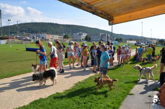 Einteilung der Kinder in Gruppen