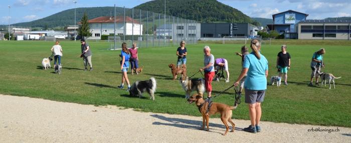 Einteilung der Kinder in Gruppen