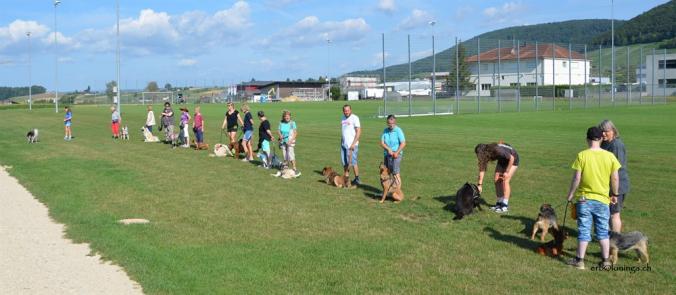 Hunde und Helfer stellen sich vor..