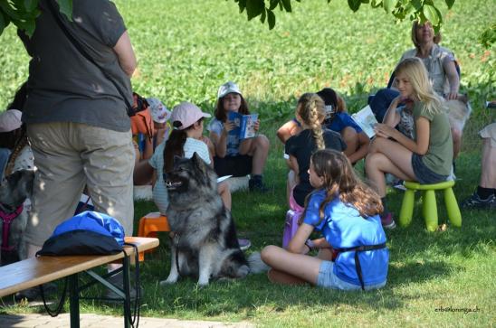 Theorieposten... Umgang mit Hund 