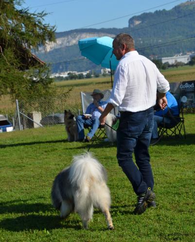 Rüden offene Klasse: Daik von Loninga