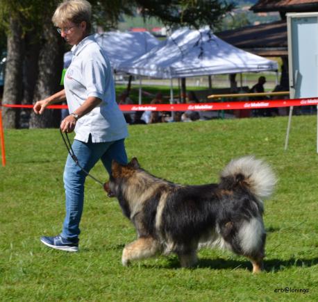 Alua vom Wolfstübchen