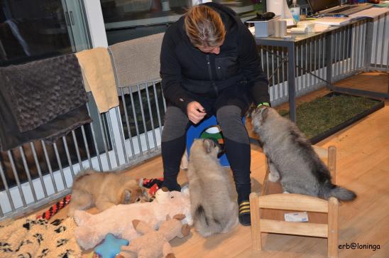 Barbara noch einmal abends bei den Welpen....