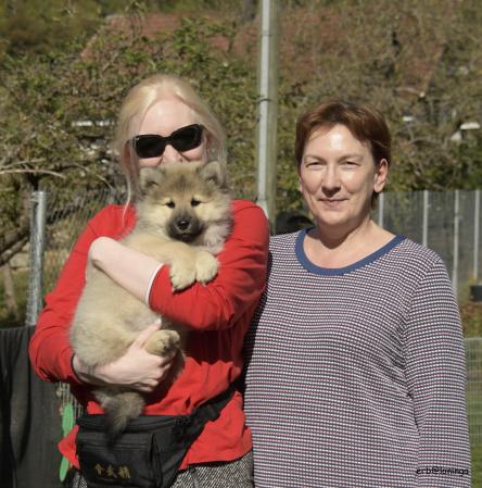 Elinor kommt nach Hermetswil-Staffel. Die Besitzer freuen sich extrem auf die kleine freche Maus. Tschüss "Elli"