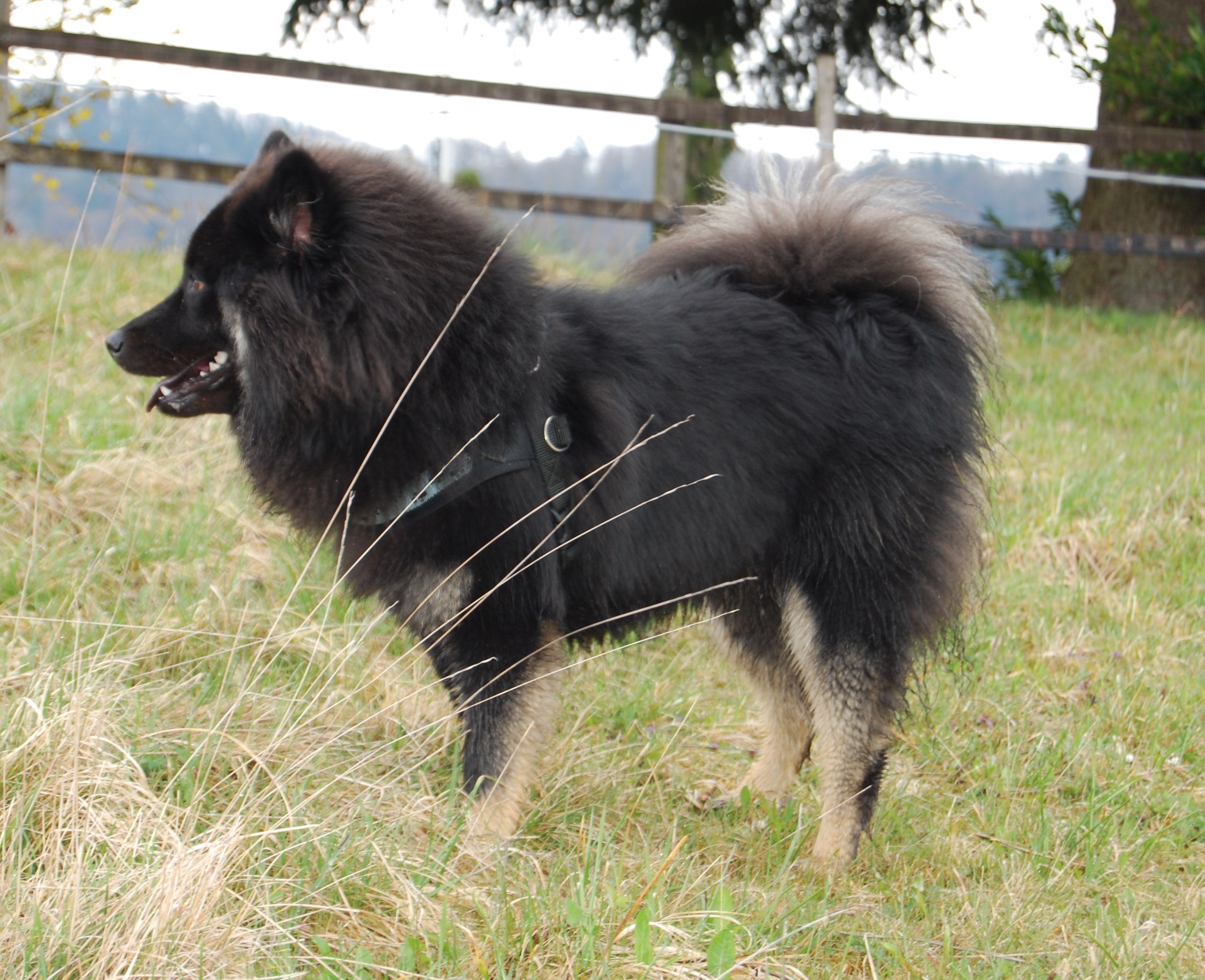 1. Besuch bei Leica 2008