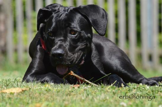 Gin im Portrait