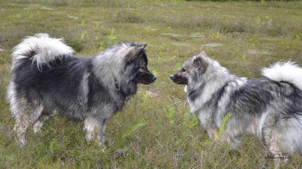 Face to Face mit Mama