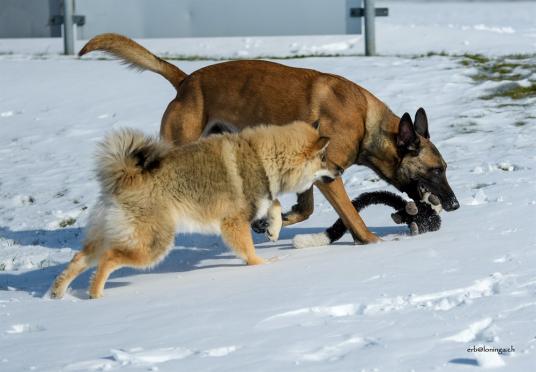 Phoenix und Chuckie beim Spielen