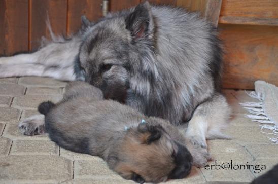 Mama nimmst gründlich mit der Putzerei