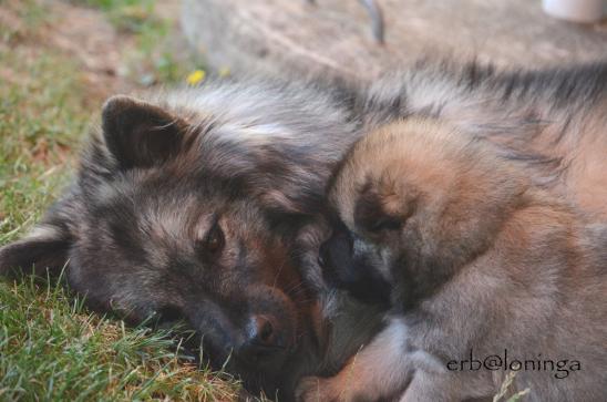 Mama ist eine ganz liebe