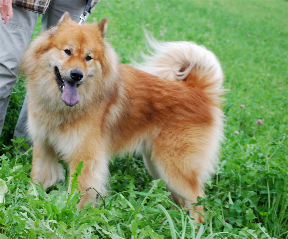 Zandro mit 6 Jahren