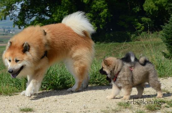 auch der Papa ist interessant