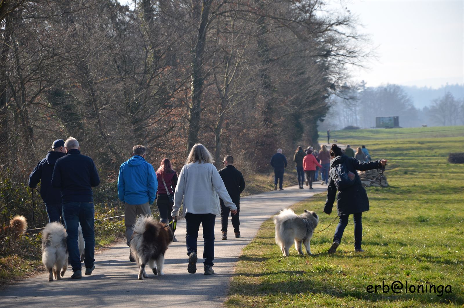 schöner Spaziergang der Reuss entlang